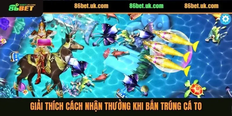 Giải thích cách nhận thưởng khi bắn trúng cá to