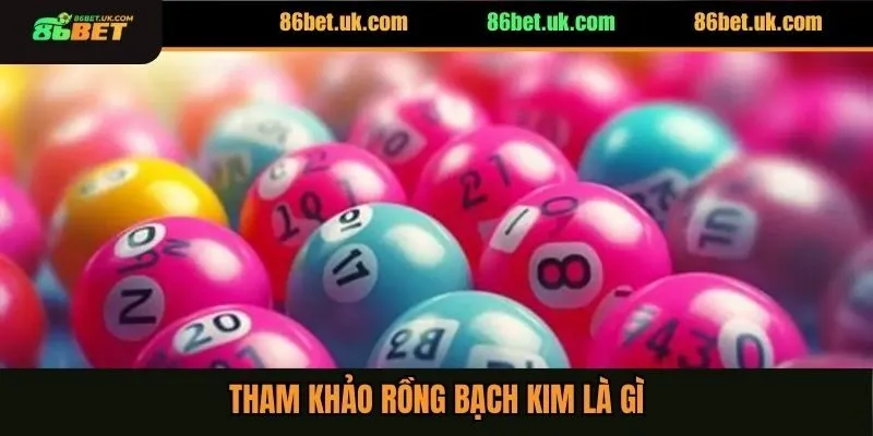 Tham khảo rồng bạch kim là gì